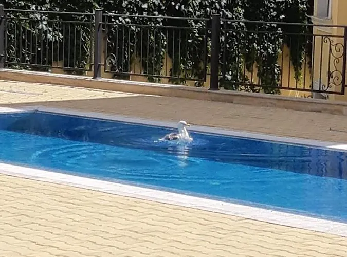 Апартаменты Horizon Katrina - Sea Line & Access Свети-Влас